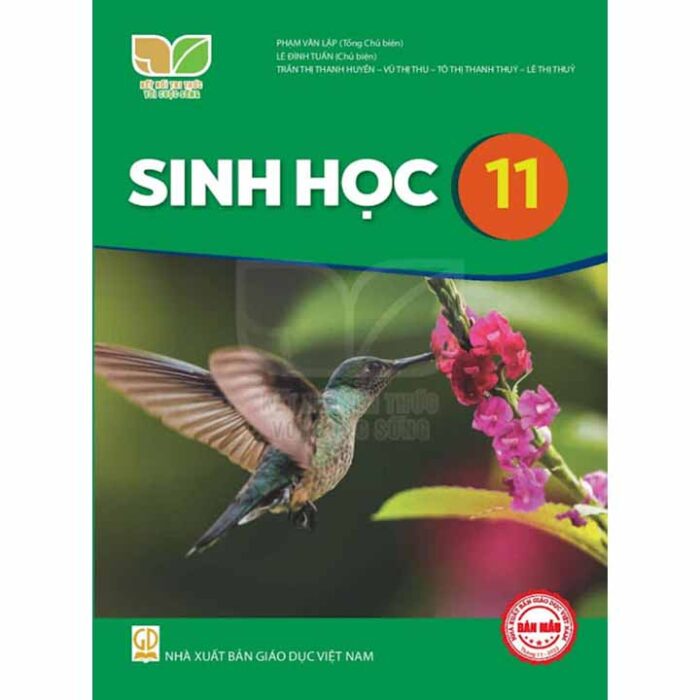 Sinh Hoc 11 Bo Ket Noi Tri Thuc